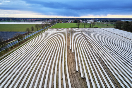 Symbolfoto Erntehelfer Notstand