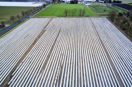 Symbolfoto Erntehelfer Notstand