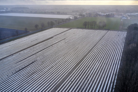 Symbolfoto Erntehelfer Notstand
