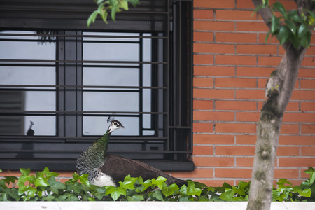 Quarantänemaßnahmen in Madrid
