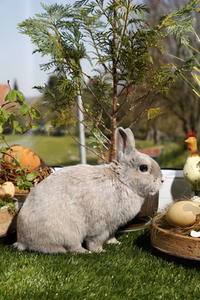 Symbolfoto Ostern