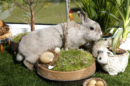 Symbolfoto Ostern