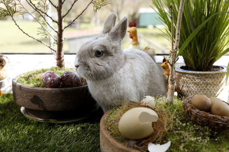 Symbolfoto Ostern
