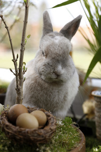 Symbolfoto Ostern