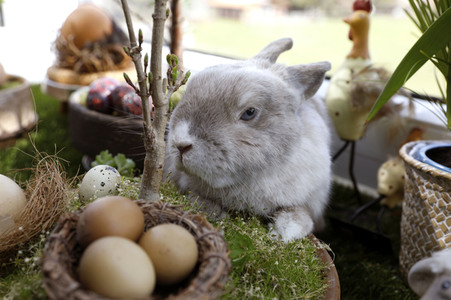 Symbolfoto Ostern