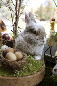 Symbolfoto Ostern
