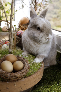 Symbolfoto Ostern