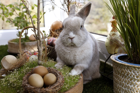Symbolfoto Ostern