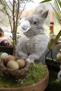 Symbolfoto Ostern