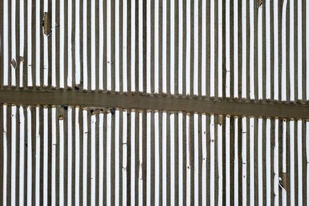 Symbolfoto Spargelfelder in Beelitz