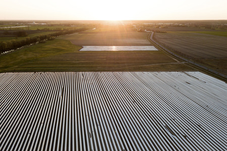 Symbolfoto Spargelfelder in Beelitz