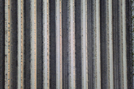 Symbolfoto Spargelfelder in Beelitz