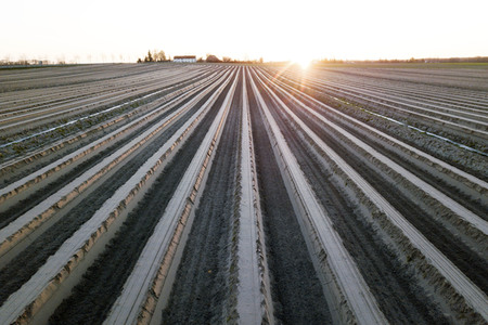 Symbolfoto Spargelfelder in Beelitz