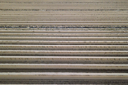 Symbolfoto Spargelfelder in Beelitz