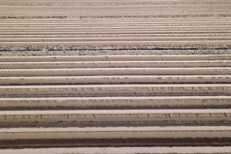 Symbolfoto Spargelfelder in Beelitz