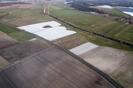 Symbolfoto Spargelfelder in Beelitz