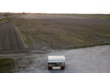 Symbolfoto Spargelfelder in Beelitz