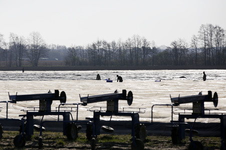Eröffnung der Spargelsaison 2020 in Beelitz
