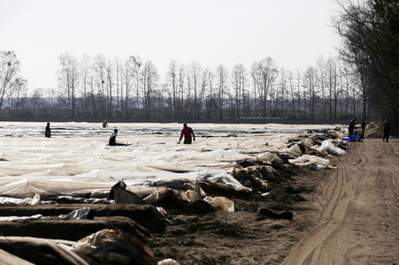Eröffnung der Spargelsaison 2020 in Beelitz