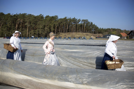 Eröffnung der Spargelsaison 2020 in Beelitz