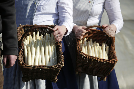 Eröffnung der Spargelsaison 2020 in Beelitz