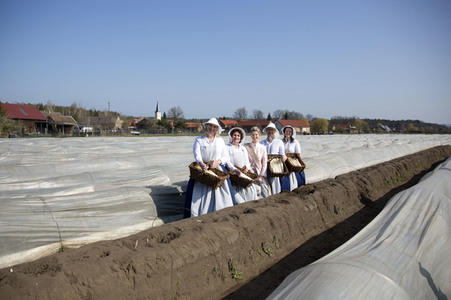 Eröffnung der Spargelsaison 2020 in Beelitz