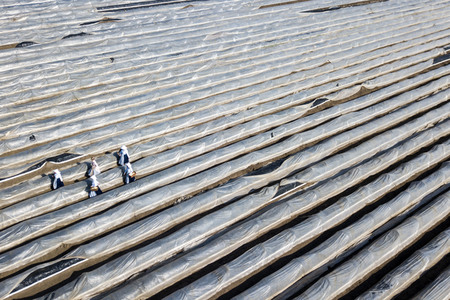 Eröffnung der Spargelsaison 2020 in Beelitz