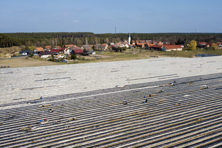 Eröffnung der Spargelsaison 2020 in Beelitz