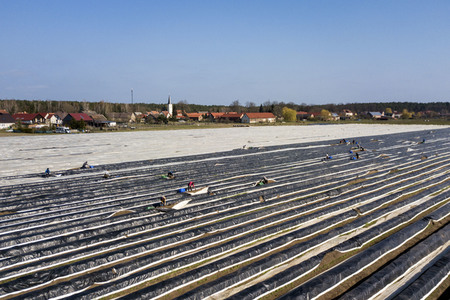 Eröffnung der Spargelsaison 2020 in Beelitz