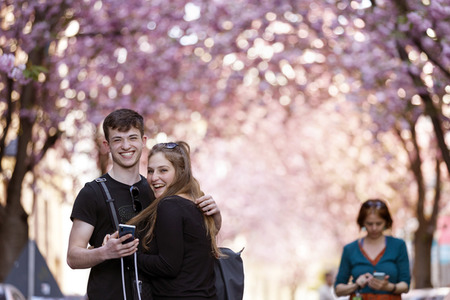Kirschblüte in Bonn