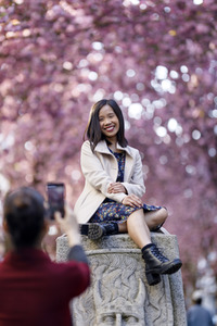 Kirschblüte in Bonn