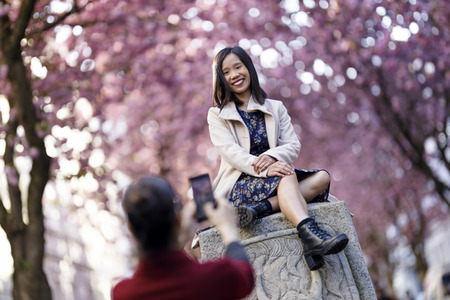 Kirschblüte in Bonn