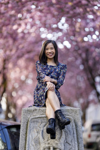 Kirschblüte in Bonn