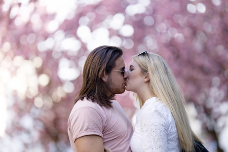 Kirschblüte in Bonn