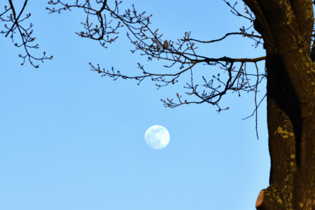 Supermond über Hannover