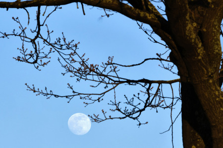 Supermond über Hannover