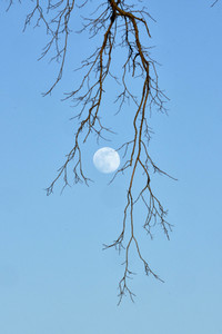 Supermond über Hannover