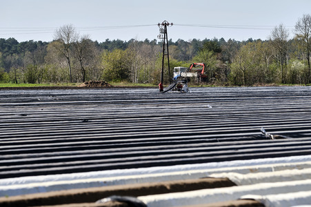 Spargelernte in Fuhrberg