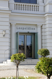 Symbolfoto Leopoldina