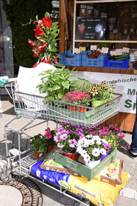 Symbolfoto Öffnung der Gartencenter und Baumärkte in Bayern