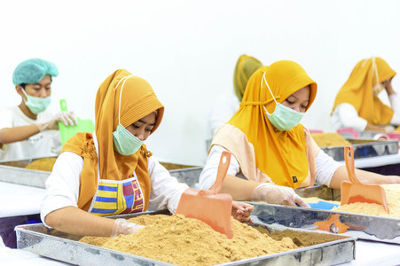 Kokosblütenzuckerproduktion in Yogyakarta