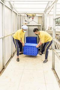 Kokosblütenzuckerproduktion in Yogyakarta