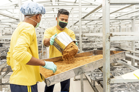 Kokosblütenzuckerproduktion in Yogyakarta