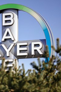 Symbolfoto Bayer