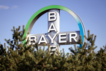 Symbolfoto Bayer