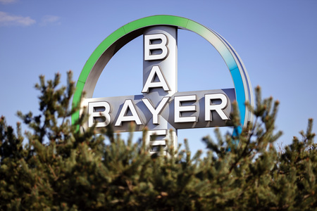Symbolfoto Bayer