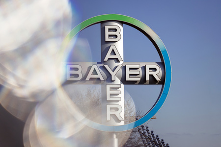 Symbolfoto Bayer