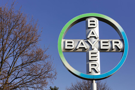 Symbolfoto Bayer