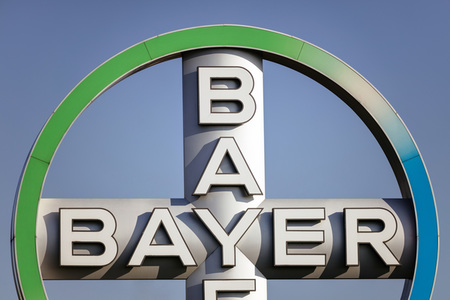 Symbolfoto Bayer