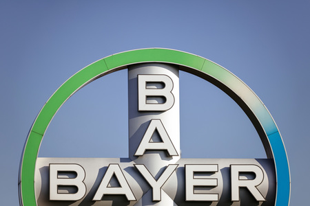 Symbolfoto Bayer